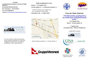 Presentazione di PowerPoint