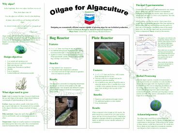 Oilgae for Algaculture