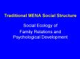 Traditional MENA Social Structure PowerPoint PPT Presentation