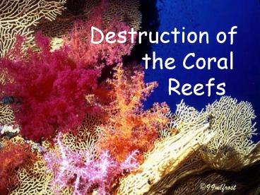 Reefs at Risk Report Release