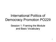 International Politics of Democracy Promotion PO229