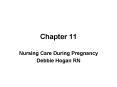 Nursing Care During Pregnancy PowerPoint PPT Presentation