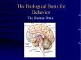 The Biological Basis for Behavior PowerPoint PPT Presentation