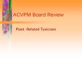 ACVPM Board Review PowerPoint PPT Presentation