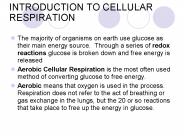 INTRODUCTION TO CELLULAR RESPIRATION