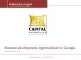 Business development opportunities in Georgia PowerPoint PPT Presentation