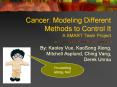 Cancer: Modeling Different Methods to Control It A SMART Team Project PowerPoint PPT Presentation
