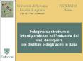 Italia da bere PowerPoint PPT Presentation