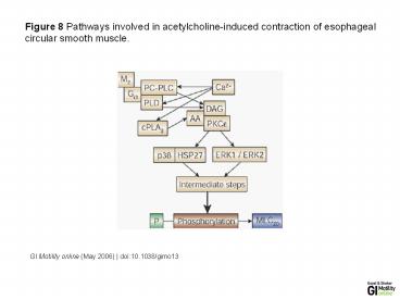 GI Motility online (May 2006) | doi:10.1038/gimo13