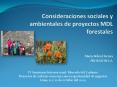 Consideraciones sociales y ambientales de proyectos MDL forestales PowerPoint PPT Presentation