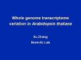Whole genome transcriptome variation in Arabidopsis thaliana PowerPoint PPT Presentation