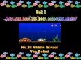 How long have you been collecting shells? PowerPoint PPT Presentation