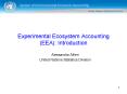 Experimental Ecosystem Accounting (EEA): Introduction PowerPoint PPT Presentation