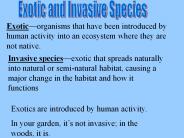 Exotic and Invasive Species