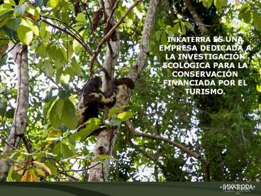 INKATERRA ES UNA EMPRESA DEDICADA A LA INVESTIGACI