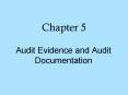 Audit Evidence and Audit Documentation PowerPoint PPT Presentation
