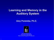 Learning and Memory in the Auditory System