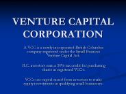 VENTURE CAPITAL CORPORATION