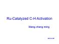 Ru-Catalyzed C-H Activation PowerPoint PPT Presentation