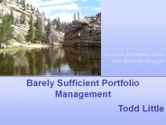 Barely Sufficient Portfolio Management