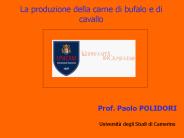 Presentazione di PowerPoint