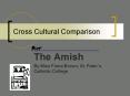 Cross Cultural Comparison PowerPoint PPT Presentation