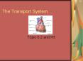 The Transport System PowerPoint PPT Presentation
