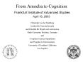 From Amoeba to Cognition Frankfurt Institute of Advanced Studies April 16, 2003 PowerPoint PPT Presentation