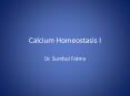 Calcium Homeostasis I PowerPoint PPT Presentation