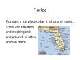 Florida PowerPoint PPT Presentation