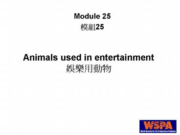 Animals used in entertainment ?????