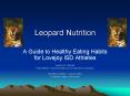 Leopard Nutrition PowerPoint PPT Presentation