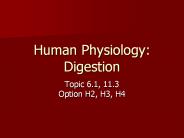 Human Physiology: Digestion