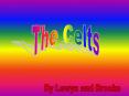 The Celts PowerPoint PPT Presentation