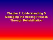 Chapter 2: Understanding