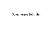 Government Subsidies