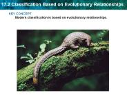 KEY CONCEPT Modern classification is based on evolutionary relationships.