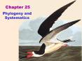 Phylogeny and Systematics PowerPoint PPT Presentation