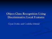 Object Class Recognition Using Discriminative Local Features