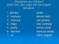 Recognize any of these? Match the Latin origin with the English derivative. PowerPoint PPT Presentation