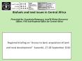 Biofuels and land issues in Central Africa PowerPoint PPT Presentation