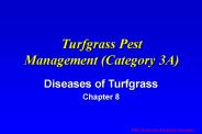 Turfgrass Pest Management (Category 3A)