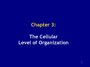 presentation player overlay