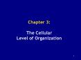 Chapter 3:  The Cellular Level of Organization PowerPoint PPT Presentation