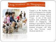 Dog trainer in Singapore