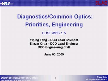 Diagnostics/Common Optics: Priorities, Engineering LUSI WBS 1.5