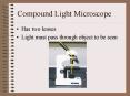 Compound Light Microscope PowerPoint PPT Presentation