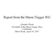 Report from the Muon Trigger WG