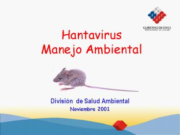 Hantavirus Manejo Ambiental