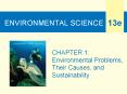 ENVIRONMENTAL SCIENCE PowerPoint PPT Presentation